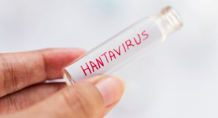 ¿Por qué la cuarentena por hantavirus dura 42 días?