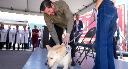 Impulsan estrategia de bienestar animal con unidades móviles.