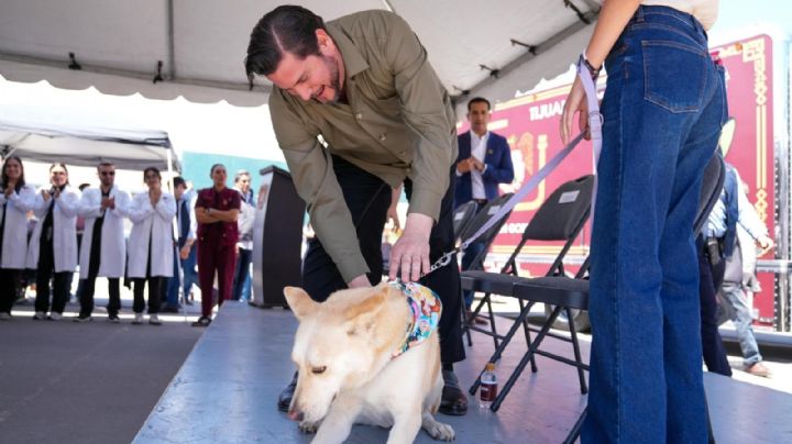 Impulsan estrategia de bienestar animal con unidades móviles.