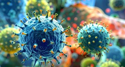 El mortal hantavirus acecha y México refuerza vigilancia