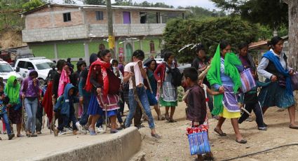 'Nos están matando': Denuncian abandono en Guerrero ante Los Ardillos