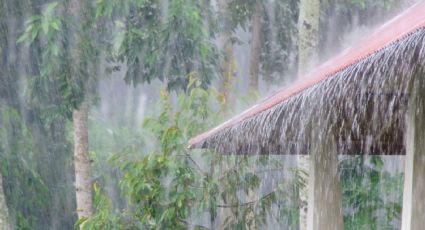 Clima en México: Alerta de lluvias fuertes y tormentas hoy 14 de mayo