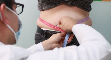 Los nuevos datos de la obesidad mundial en 2026