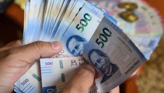 ¿Te toca pago? Checa si tienes derecho a utilidades