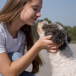 Esta es la conexión cerebral entre humanos y mascotas