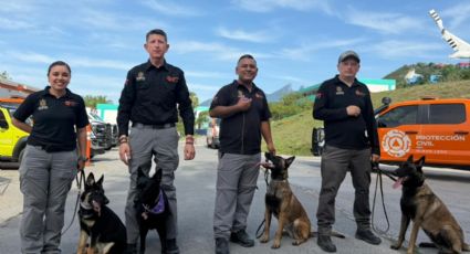 Protección Civil de NL integra a tres cachorras especialistas en búsqueda y rescate
