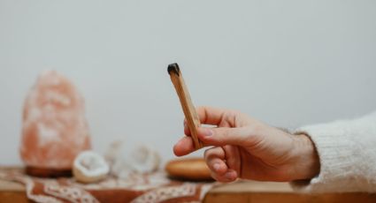 Palo santo: el limpiador energético que necesitas