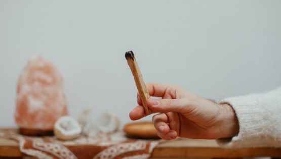 Palo santo: el limpiador energético que necesitas