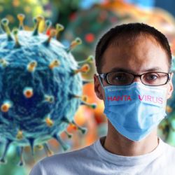 Hantavirus permanece oculto en el cuerpo casi seis años