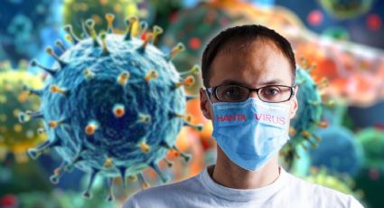 Hantavirus permanece oculto en el cuerpo casi seis años