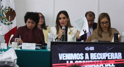 Comparecencia de Rojo de la Vega, entre acusaciones por ambulantaje y agresiones
