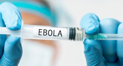 ¿Vacuna para Ébola en unos meses? La OMS responde