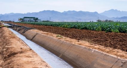 Padre pierde la vida en Montemorelos al salvar a su hijo de un canal de riego