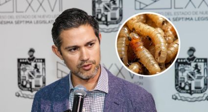 Destacan eficacia sanitaria tras detectar gusano barrenador en San Pedro