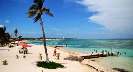 ¿Freno definitivo en Mahahual? Crece la presión para cancelar 'Perfect Day'