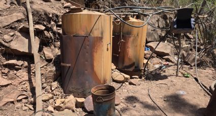 Golpe de 923 MDP a 'Los Mayos': Desmantelan tres narcolaboratorios en Sinaloa