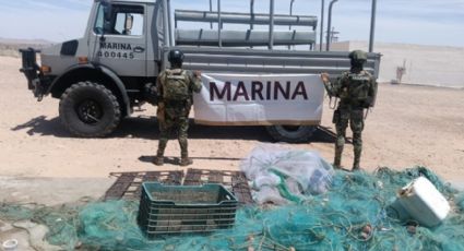 Marina asegura redes ilegales en Sonora y frena la pesca prohibida en el Alto Golfo