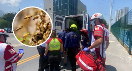 Ataque de abejas deja un muerto y dos lesionados en la sierra de Santiago