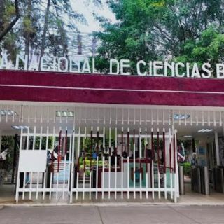 Mario Delgado busca diálogo con estudiantes del IPN