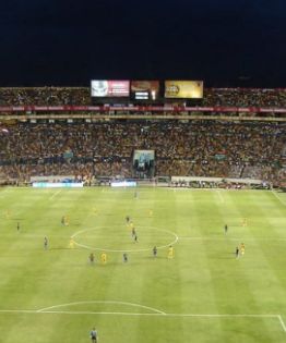Anestesia política y fútbol