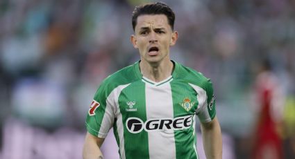 ¿Quiénes llegaron al Tri? Fidalgo y Quiñones listos