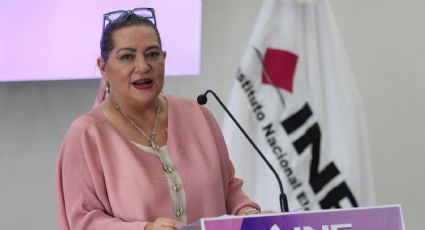 INE y el riesgo de las nuevas reformas: el análisis de Ugalde