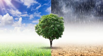 Pronóstico del clima hoy: Lluvias intensas y calor extremo en México