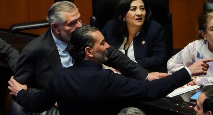 Ley Monreal: Luis Armando Melgar votará en contra