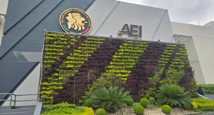 Vinculan a proceso a pareja de ciudadana rusa hallada sin vida en Apodaca