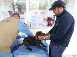 FGE investiga venta ilegal de seres sintientes en Morelia