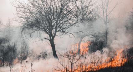 Incendio bajo puente en Miguel Alemán moviliza a bomberos en Apodaca