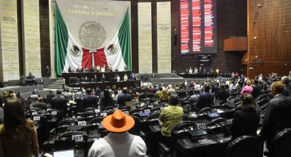 Diputados buscan anular elecciones por injerencia extranjera