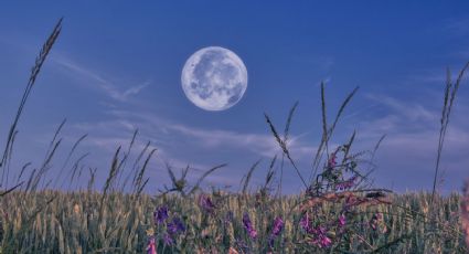 Luna Azul 2026: guía básica para fotografiar la segunda Luna llena de mayo