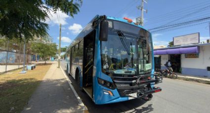 Dos nuevas rutas del Va y Ven para Mérida