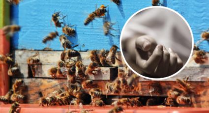 Ataque de abejas deja un muerto y dos personas lesionadas en Marín