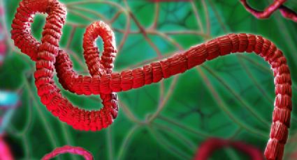 Autoridades analizan caso de ébola en Brasil