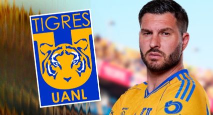 Este es el 'sacrificio' que Gignac haría para seguir en Tigres