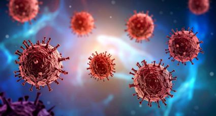 Hantavirus en crucero: ¿Estamos ante el inicio de una nueva pandemia?