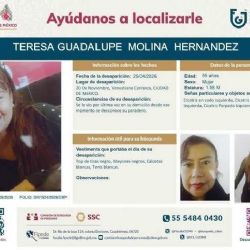 Fernando "N" vinculado por desaparecer a su madre