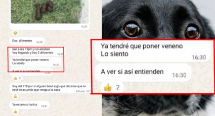 Amenaza con envenenar a los perros de Cerradas de Cumbres en Monterrey; denuncian apología del delito
