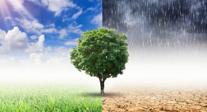Clima en México hoy: Alerta por calor extremo y lluvias fuertes