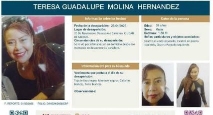 Fernando "N" vinculado por desaparecer a su madre