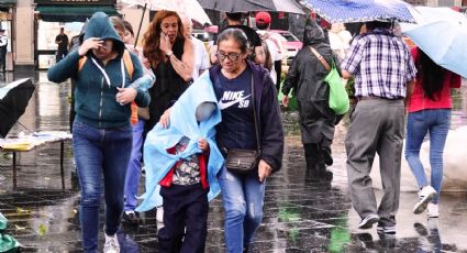 ¿Mito o realidad? La verdad científica detrás del 'Niño Godzilla'