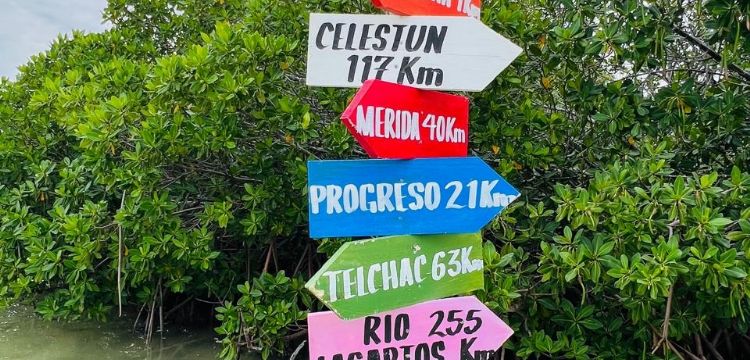 Isla columpios un lugar para visitar estas vacaciones en Yucatán