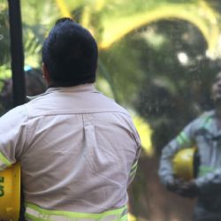 CFE restablece servicio eléctrico en Nuevo León
