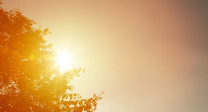 Clima en Monterrey: Así estarán las altas temperaturas este lunes