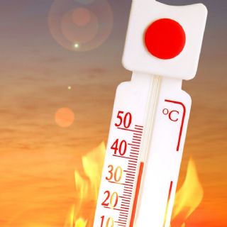 Europa enfrenta una ola de calor sin precedentes