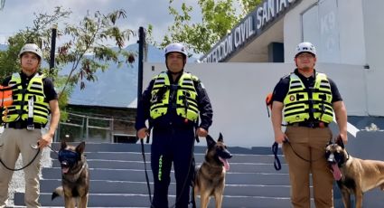 Brigada K9 de Santa Catarina apoyará rescates en Venezuela