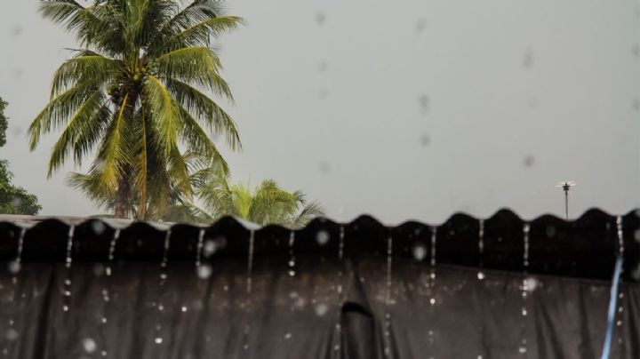 Lluvias en Nuevo León: ¿Qué días se esperan tormentas según el pronóstico extendido?