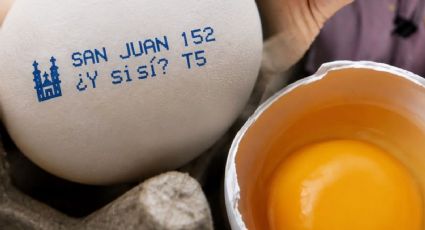 El Mundial llega... hasta los huevos